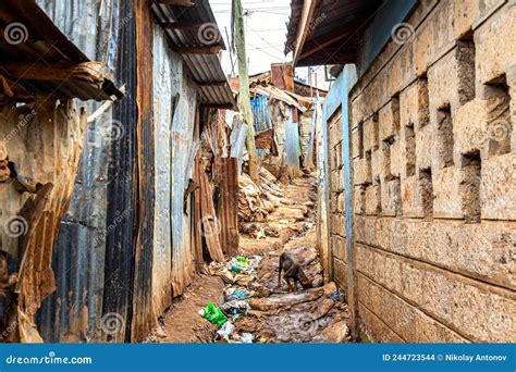 slumi|Slum .